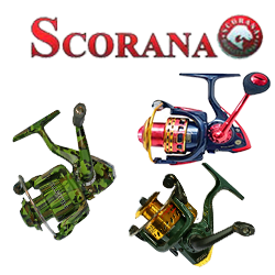 Scorana